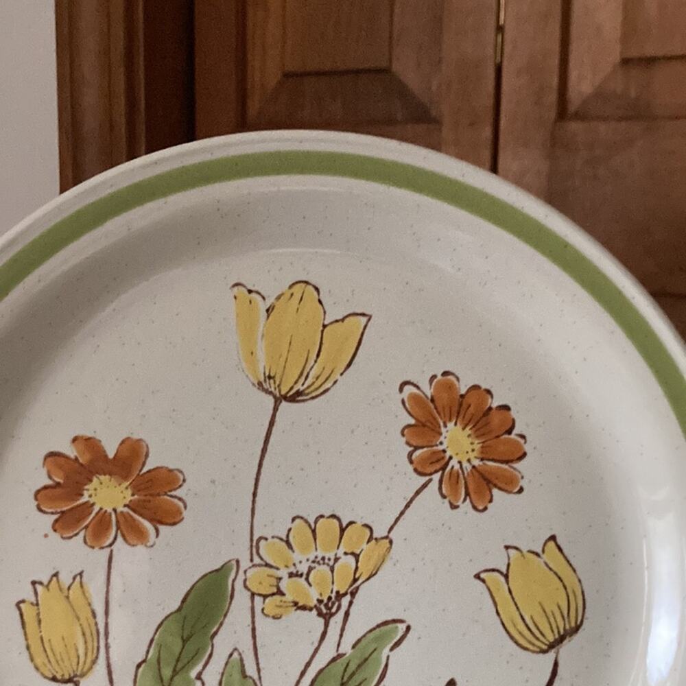 Vintage Country Casual “Sunnyvale” Dinner Plates, Set of 2 - Picture 4 of 10